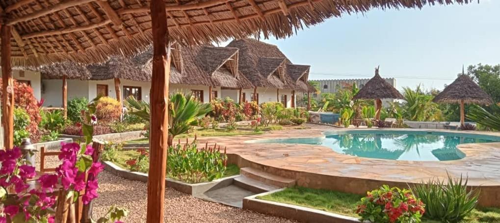 Africa Dream Bungalow Kiwengwa Hotell Kiwengwa  Eksteriør bilde