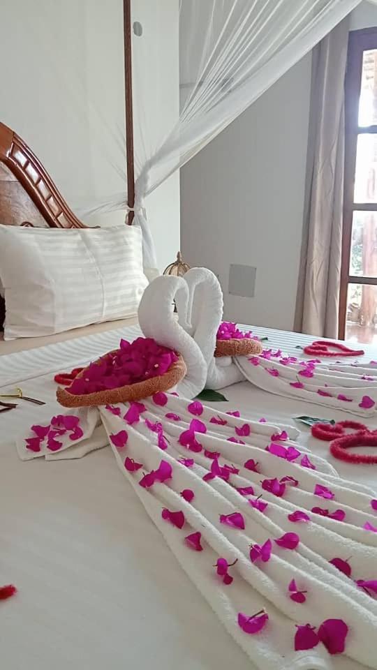 Africa Dream Bungalow Kiwengwa Hotell Kiwengwa  Eksteriør bilde