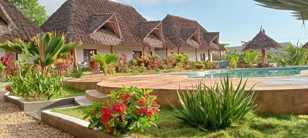 Africa Dream Bungalow Kiwengwa Hotell Kiwengwa  Eksteriør bilde