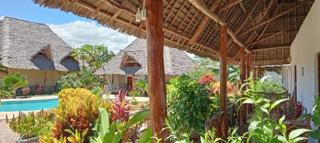 Africa Dream Bungalow Kiwengwa Hotell Kiwengwa  Eksteriør bilde